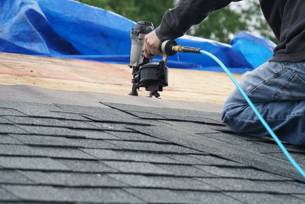 Best Roof Repair Services  in North Pole, AK